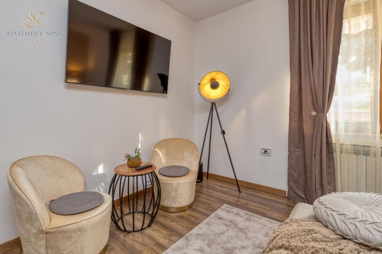 Apartment Nina Pazin Exterior foto
