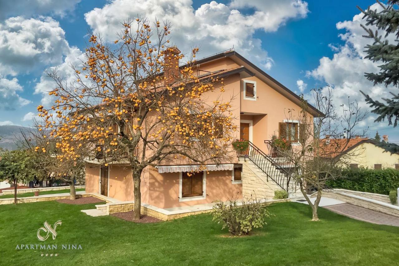 Apartment Nina Pazin Exterior foto